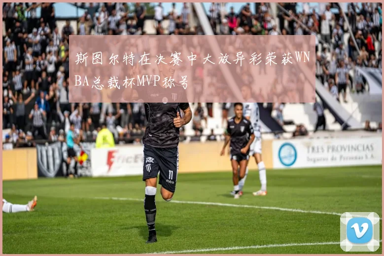 斯图尔特在决赛中大放异彩荣获WNBA总裁杯MVP称号