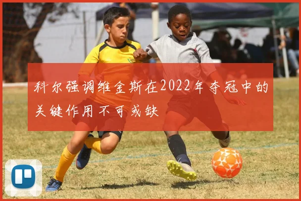 科尔强调维金斯在2022年夺冠中的关键作用不可或缺