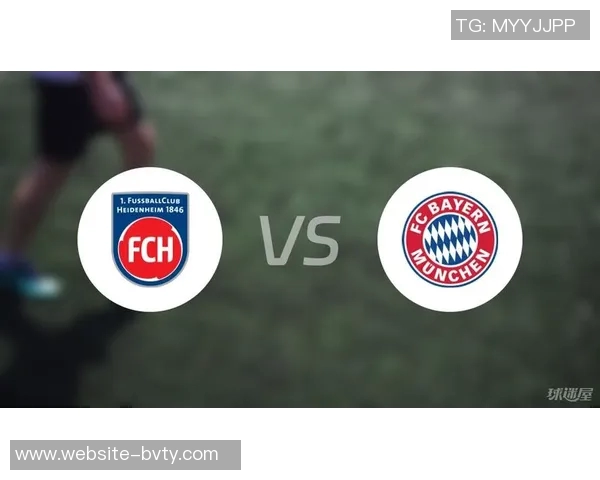 海登海姆计划与拜仁谈判以留住小伊布实现长期合作